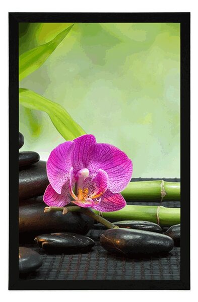Plakat Feng Shui martwa natura