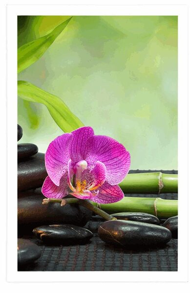 Plakat Feng Shui martwa natura