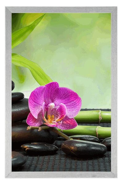 Plakat Feng Shui martwa natura