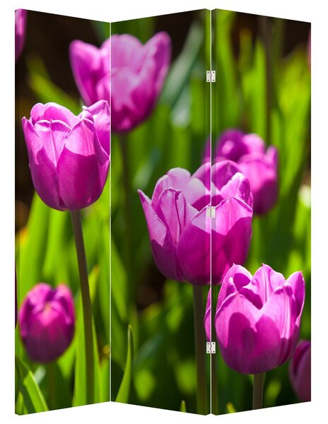 Parawan - Tulipany na łące (126x170 cm)