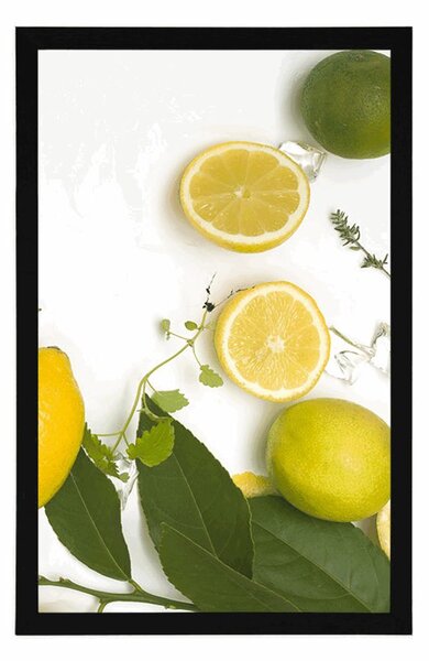Plakat mix owoców cytrusowych