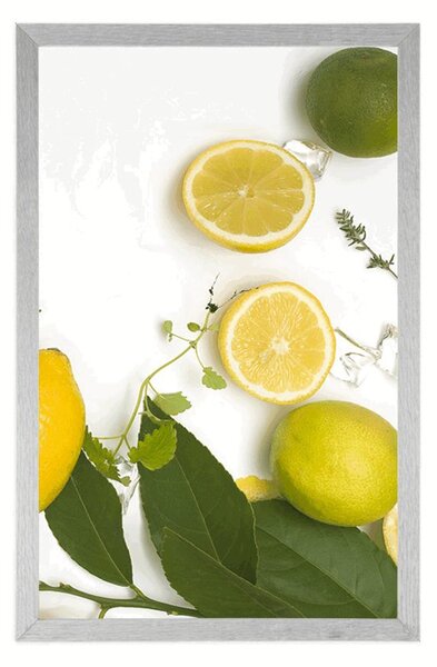 Plakat mix owoców cytrusowych