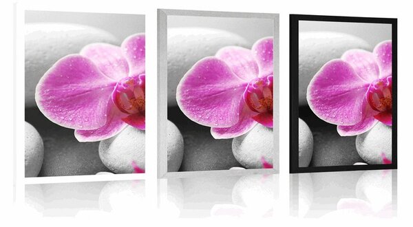 Plakat kwiaty orchidei na białych kamieniach
