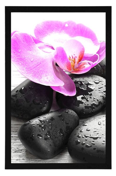Plakat piękna gra kamieni i orchidei