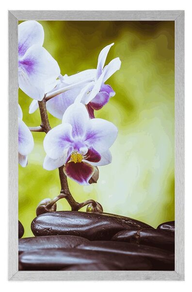 Plakat kamienie zen i orchidea