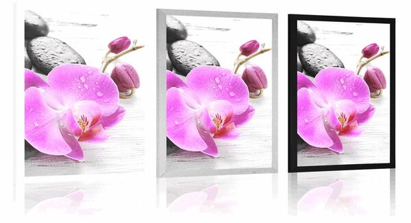 Plakat magiczna gra kamieni i orchidei