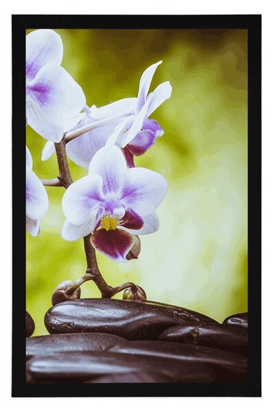Plakat kamienie zen i orchidea