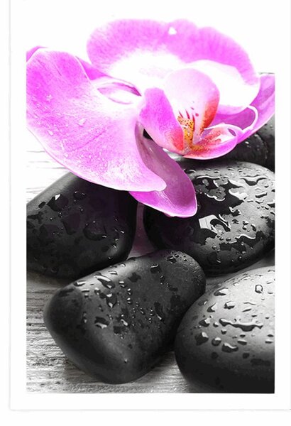 Plakat piękna gra kamieni i orchidei