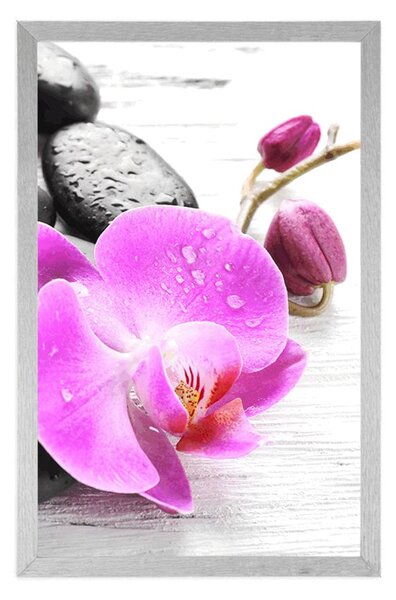 Plakat magiczna gra kamieni i orchidei