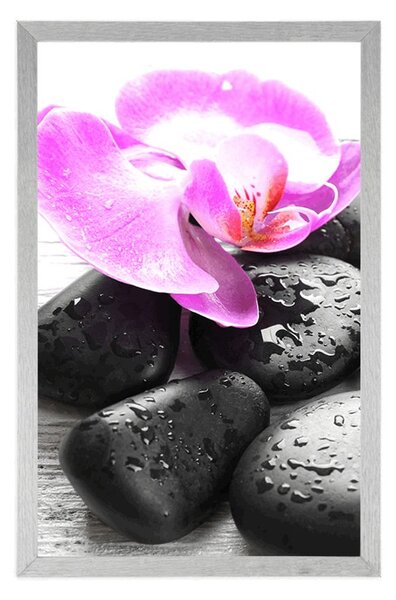Plakat piękna gra kamieni i orchidei