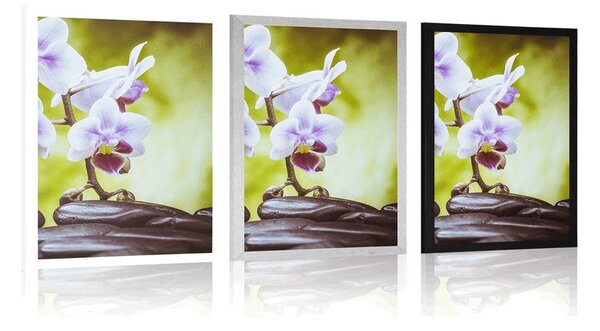 Plakat kamienie zen i orchidea
