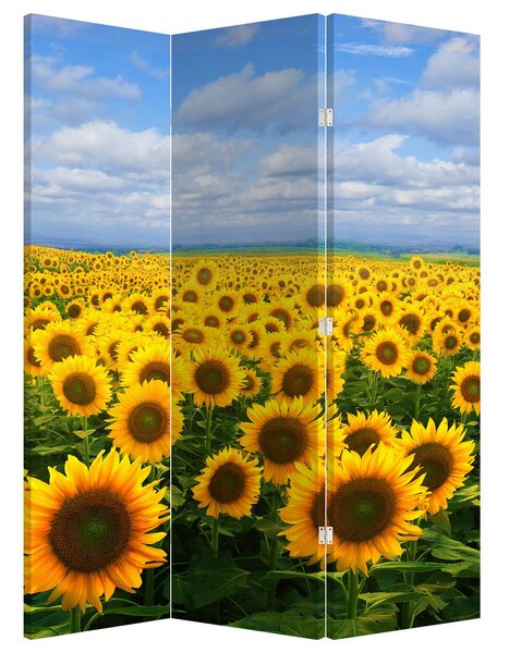 Parawan - Pole słoneczników (126x170 cm)