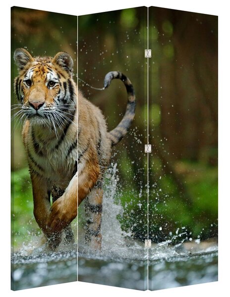 Parawan - Biegnący tygrys (126x170 cm)