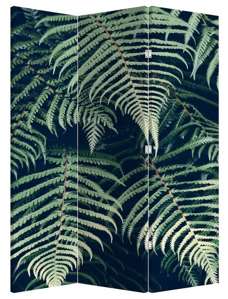 Parawan - Liście paproci (126x170 cm)
