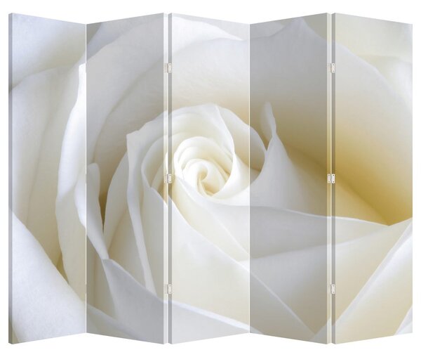 Parawan - Biała róża (210x170 cm)