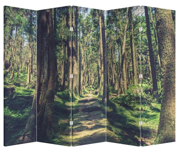 Parawan - Ścieżka wśród drzew (210x170 cm)