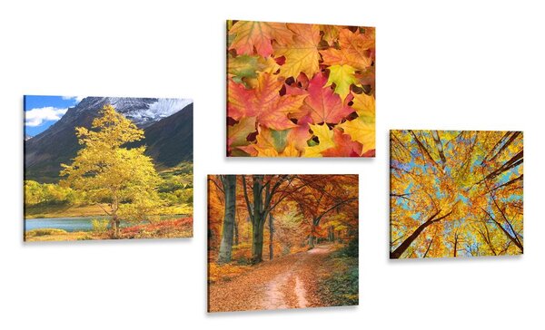 Zestaw obrazów przyroda jesienią w cudownych kolorach