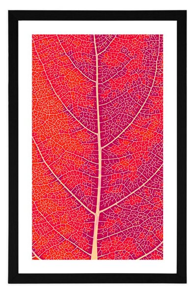 Plakat z passepartout struktura liścia