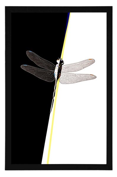 Plakat piękna ważka