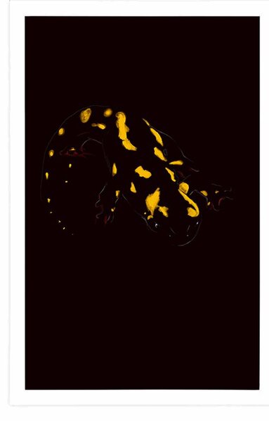 Plakat świecąca salamandra