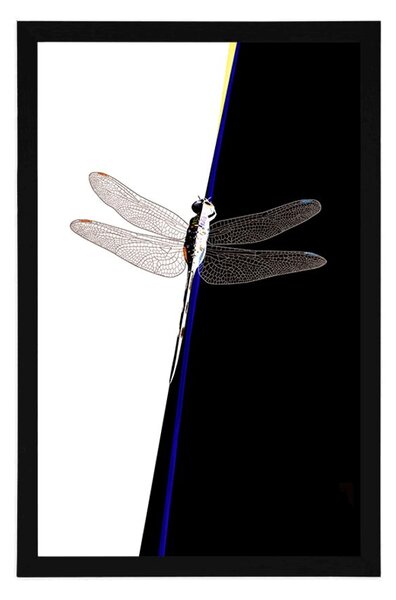 Plakat symetria ważki