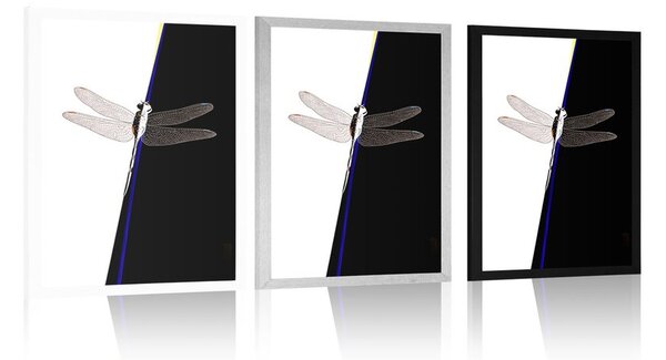 Plakat symetria ważki