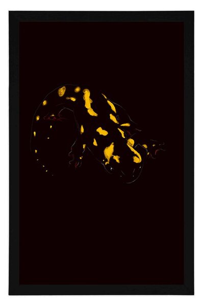 Plakat świecąca salamandra