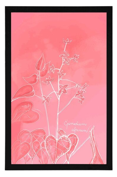 Plakat oszałamiająca roślina Epimedium alpinum