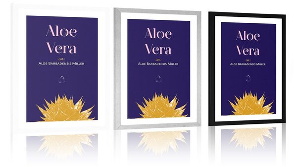 Plakat passepartout z napisem Aloe Vera