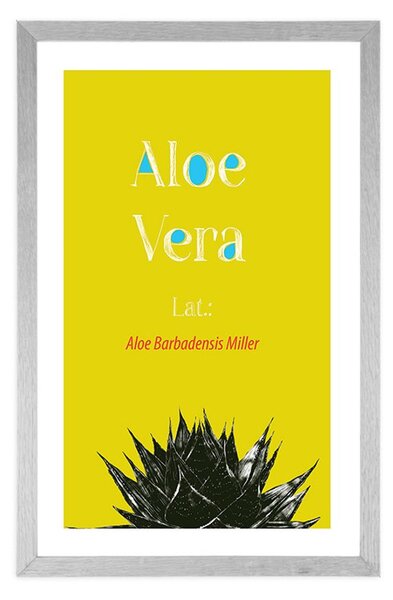 Plakat passepartout cudowna Aloe Vera