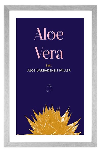 Plakat passepartout z napisem Aloe Vera