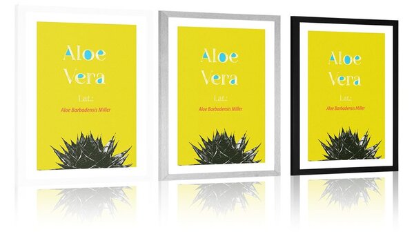 Plakat passepartout cudowna Aloe Vera