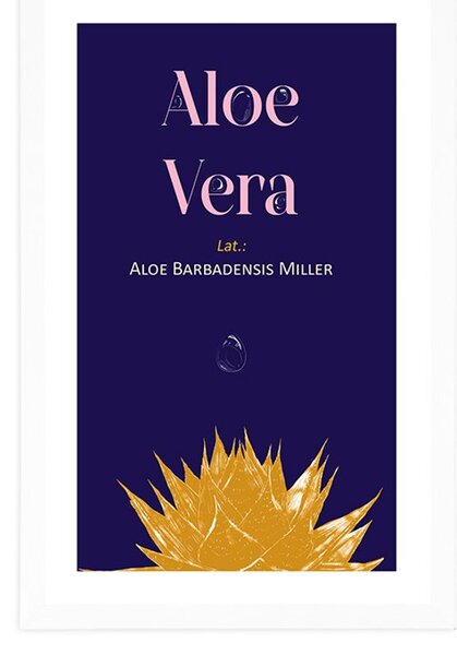 Plakat passepartout z napisem Aloe Vera