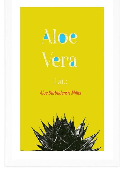 Plakat passepartout cudowna Aloe Vera