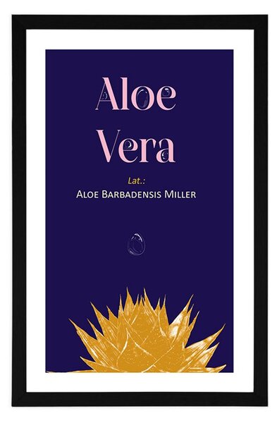 Plakat passepartout z napisem Aloe Vera