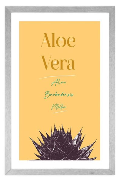 Plakat passepartout ze stylowym napisem Aloe Vera