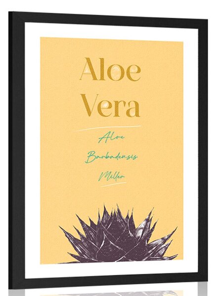 Plakat passepartout ze stylowym napisem Aloe Vera