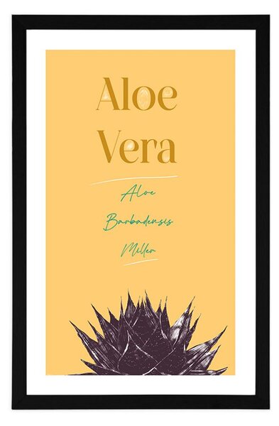 Plakat passepartout ze stylowym napisem Aloe Vera