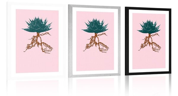 Plakat passepartout wyjątkowa Aloe Vera