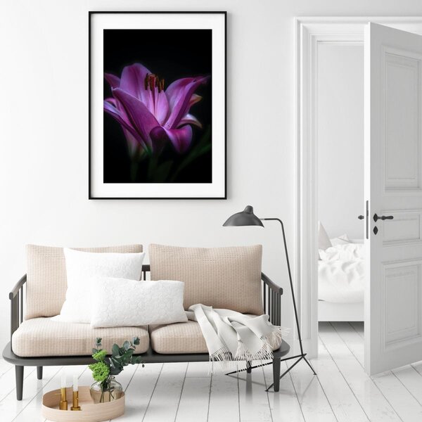 Plakat - Lilly (A4)