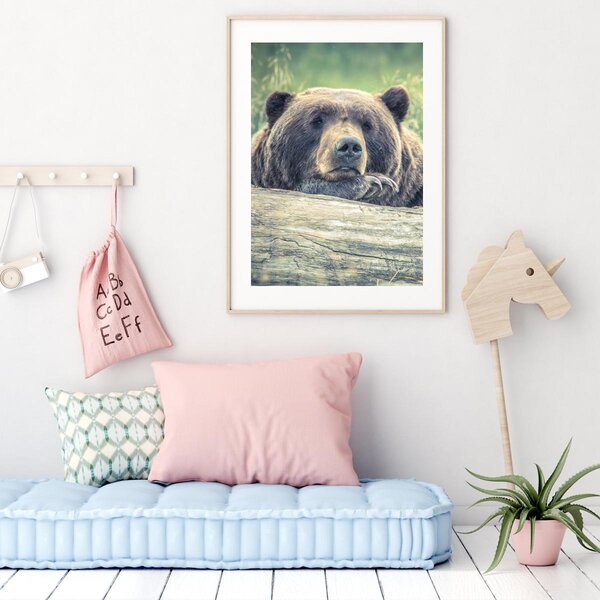 Plakat - Odpoczywający niedźwiedź (A4)