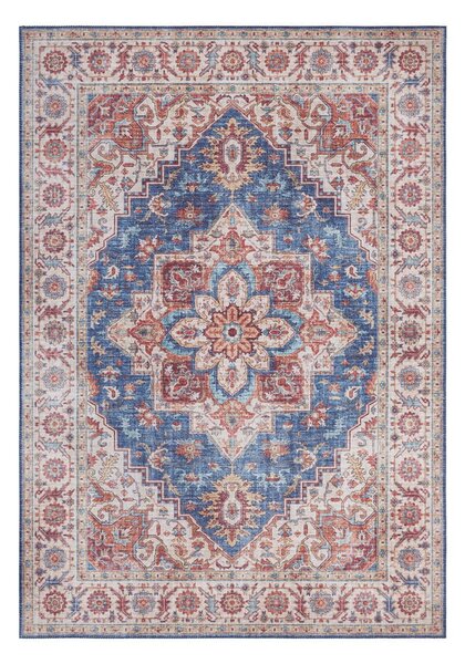 Niebiesko-czerwony dywan Nouristan Anthea, 120x160 cm