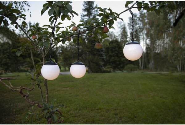 Zestaw 3 wiszących solarnych lamp ogrodowych Star Trading Globus, ø 10 cm
