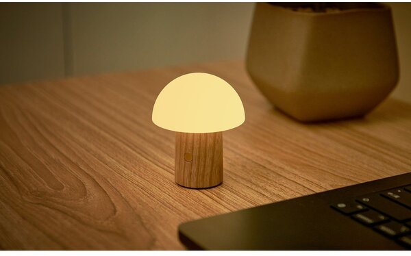 Lampa stołowa LED ze ściemniaczem z litego drewna jesionowego (wysokość 7 cm) Alice – Gingko