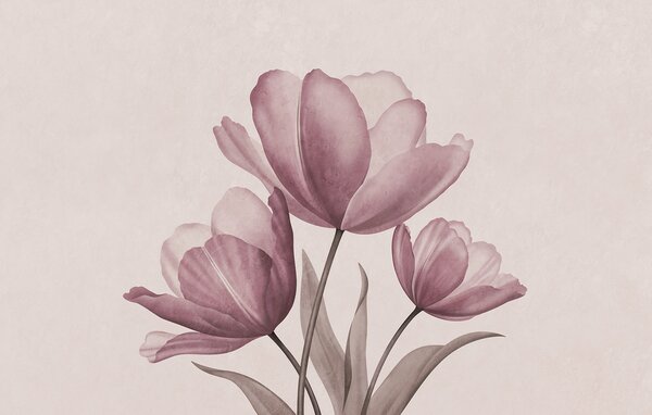 Fototapeta Eleganckie tulipany w delikatnych pastelowych odcieniach, Fototapety Kwiaty, Popularne Fototapety, t00762v2 - Tapeko.pl