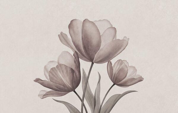 Fototapeta Eleganckie tulipany w delikatnych pastelowych odcieniach, Fototapety Kwiaty, Popularne Fototapety, t00762v3 - Tapeko.pl