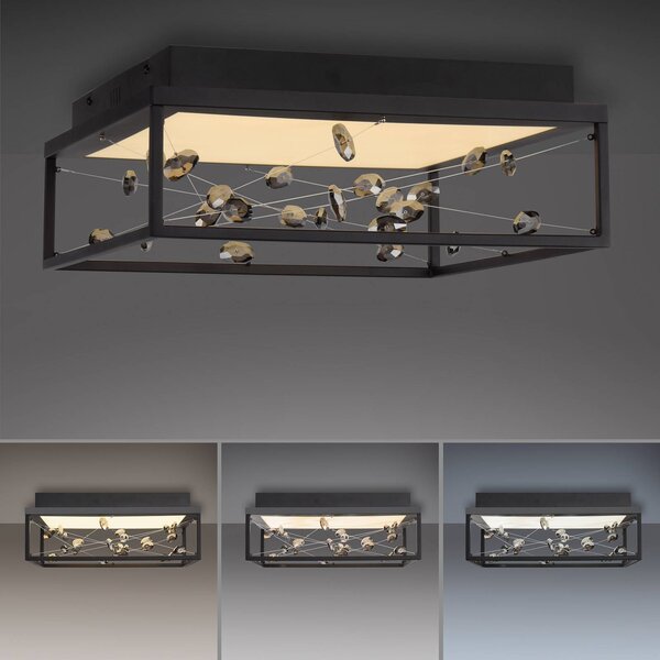 Paul Neuhaus Lampa sufitowa SKINA, możliwość ściemniania, czarny, salon / jadalnia, metal, nowoczesny