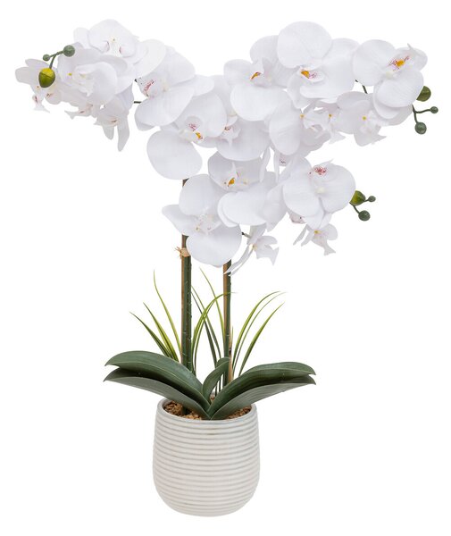 Sztuczny storczyk w doniczce RIVA, 60 cm