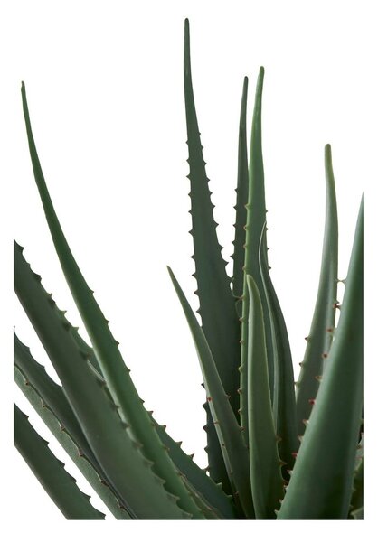 Sztuczna roślina (wysokość 51 cm) Aloe Vera – House Nordic