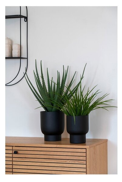 Sztuczna roślina (wysokość 51 cm) Aloe Vera – House Nordic